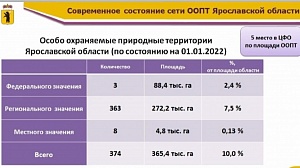 Факультет биологии и экологии ЯрГУ провел онлайн-встречу с крупнейшими экоорганизациями региона