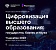 Конференция «Цифровизация высшего образования: государство, бизнес и наука»