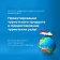 Институт цифрового педагогического дизайна ЯрГУ предлагает обучение по программе «Проектирование туристского продукта и предоставление туристских услуг»